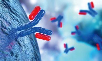 Shimadzu – nSMOL Antibody BA Kit