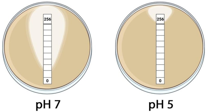 Schematische Darstellung eines neuen diagnostischen Ansatzes zur zuverlässigen...