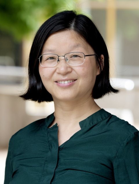portrait of Xuezhi Zeng